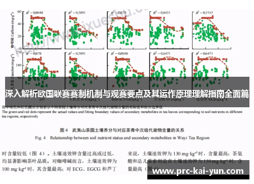 深入解析欧国联赛赛制机制与观赛要点及其运作原理理解指南全面篇