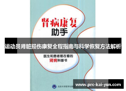 运动员肾脏损伤康复全程指南与科学恢复方法解析 运动员肾脏损伤康复全程指南与科学恢复方法解析