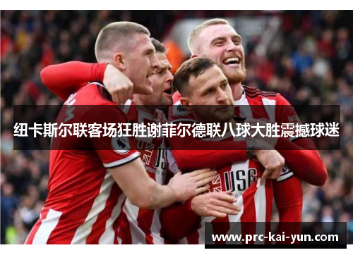 纽卡斯尔联客场狂胜谢菲尔德联八球大胜震撼球迷